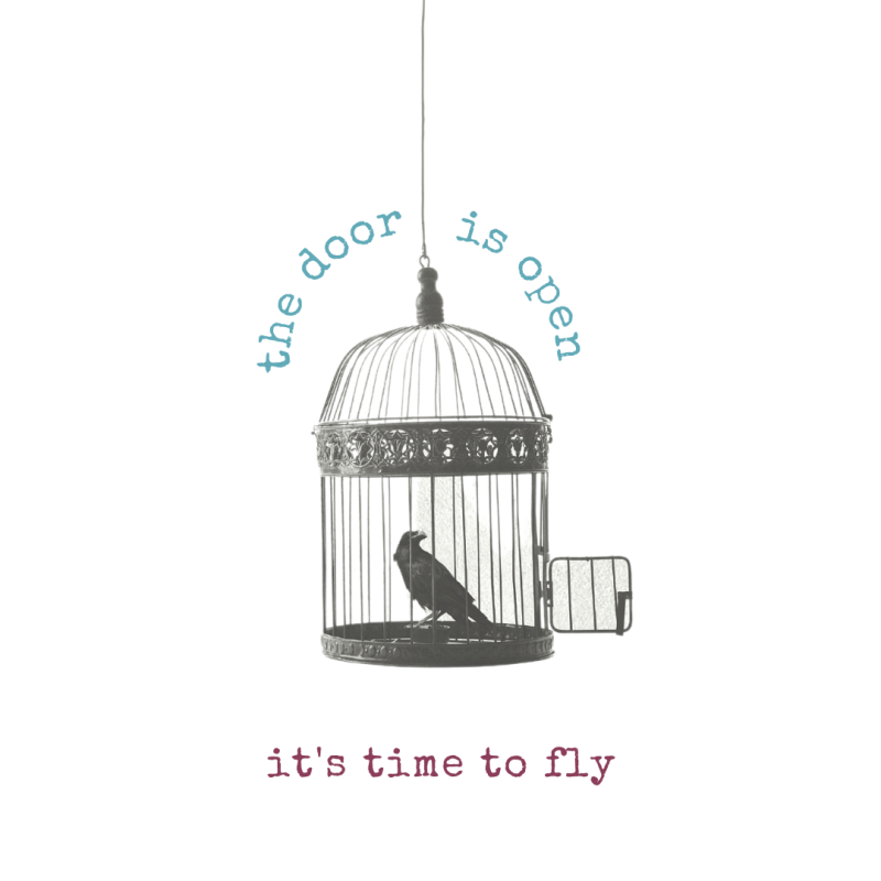 It's TIME to FLY, workshop